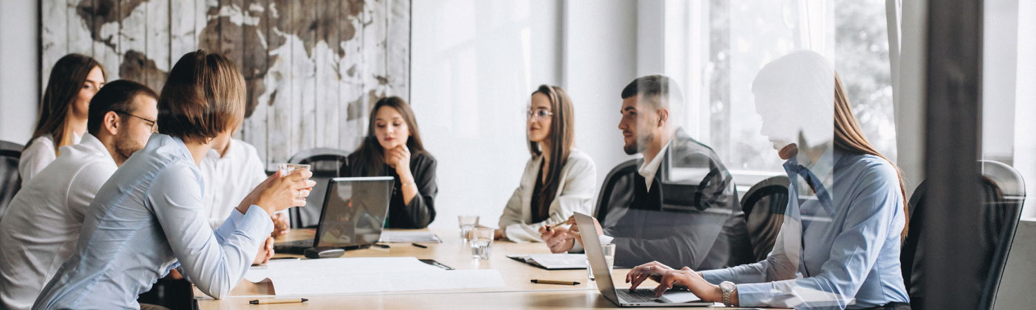 Business Language Skills: Expert Plus фото 1