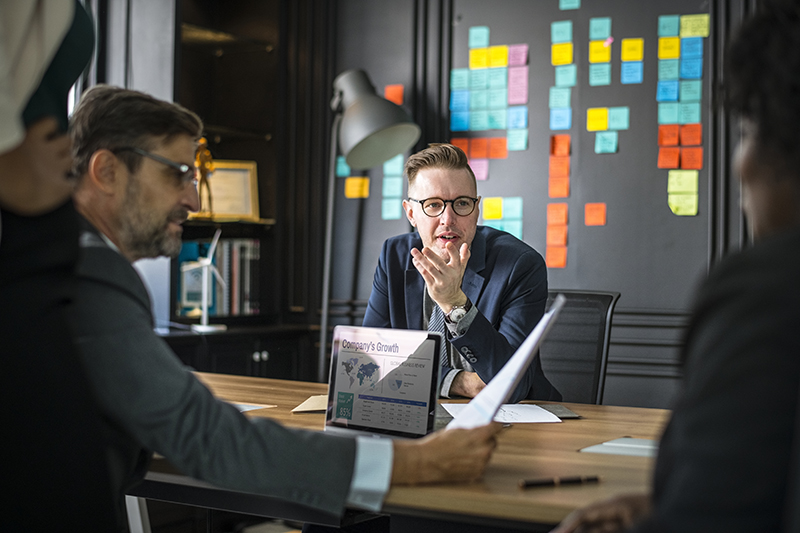 Business Language Skills: Expert Plus фото 3